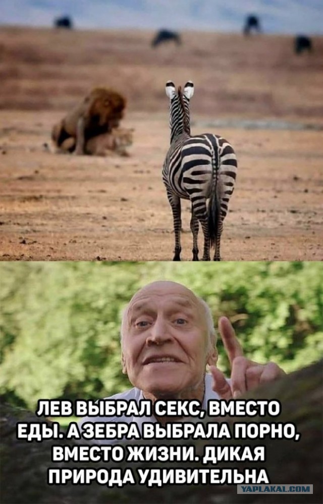 Картинки и мемы для настроения 15.06.2021