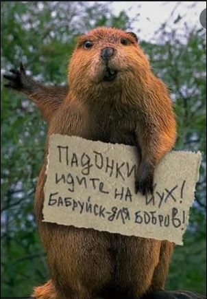 Эх, молодежь, про Ирку даже не слышали, и ДС++ отцовский до торрентов