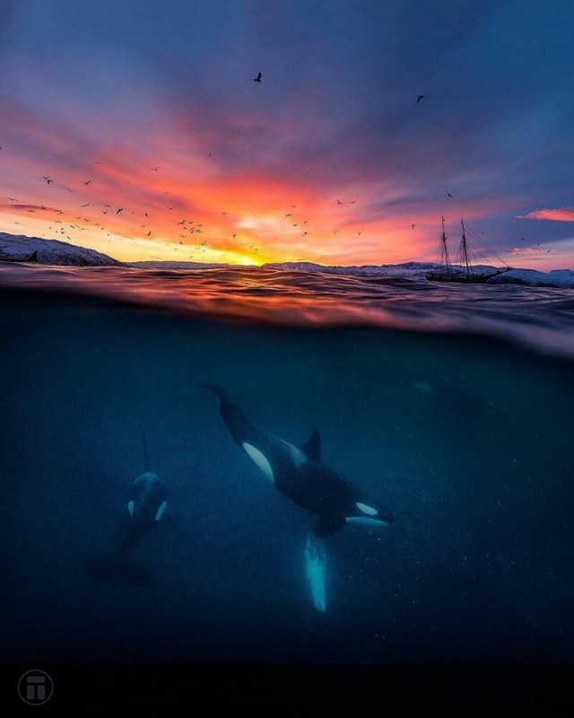 Картинки и мемы для настроения 05.08.2021