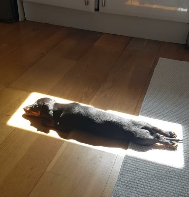 Картинки и мемы для настроения 05.08.2021