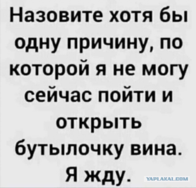 Так себе картинки 01.11.2021