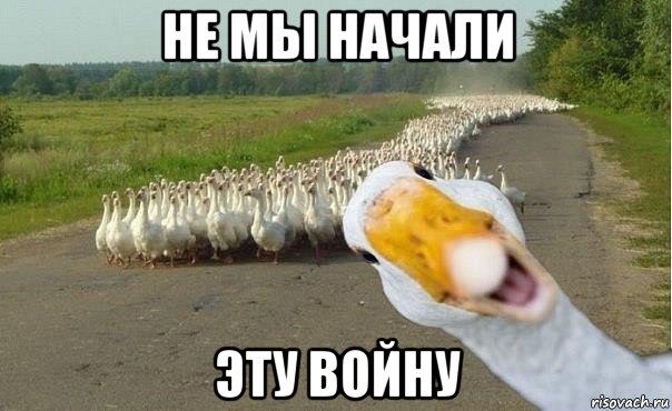 В Магадане нашли мертвым депутата c фотографии с тушами убитых гусей