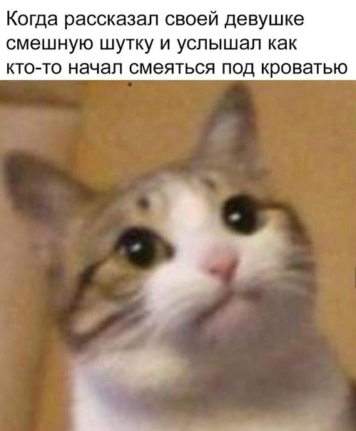 Картинки и мемы для настроения  -  9