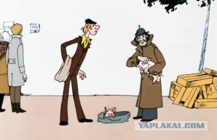 Сюрприз от Вайлдбериз