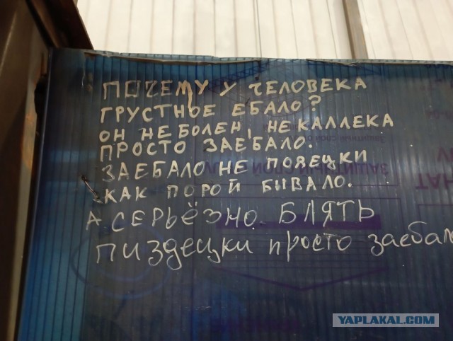 Настенная жизнь обычного завода