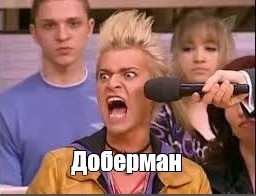 Нападение добермана на бабку