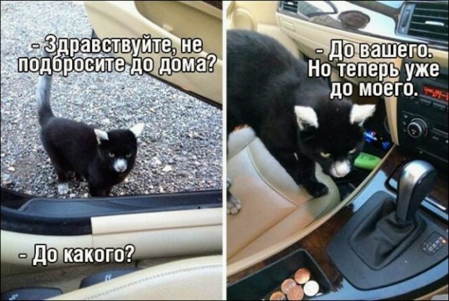 Немного картинок для настроения - 131