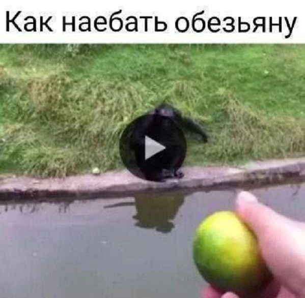 Картинки и мемы для настроения - 015