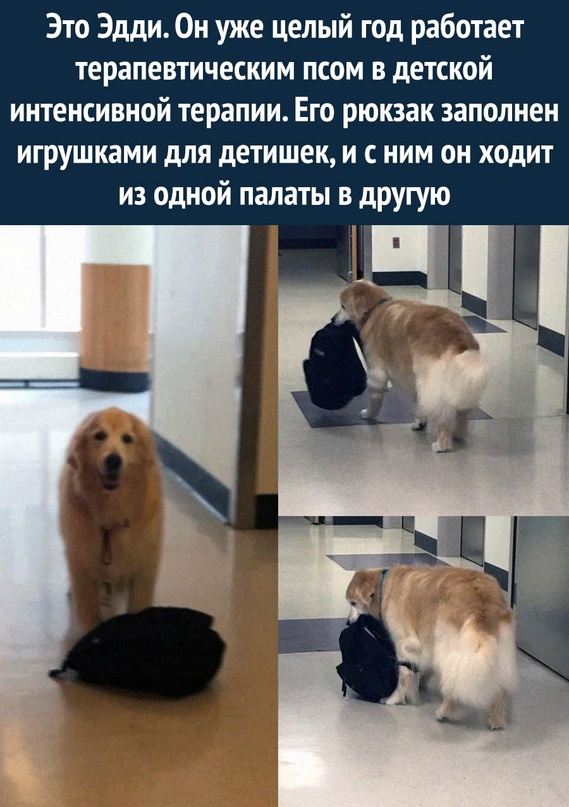 Немного картинок для настроения - 153