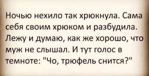 Весёлый полтишок 28.06.23