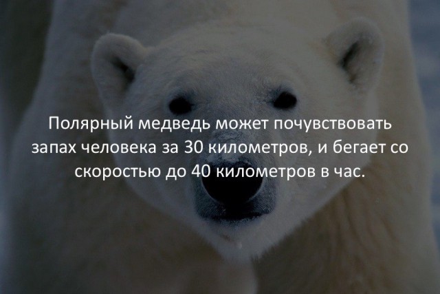 Десять пятничных картинок
