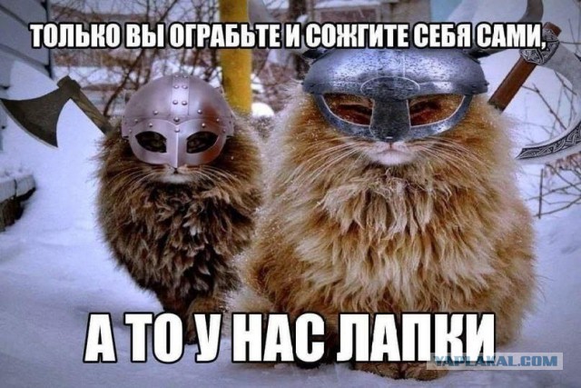 Нуштош 22.02.2024