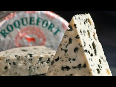 Можно ли умереть от плесени?