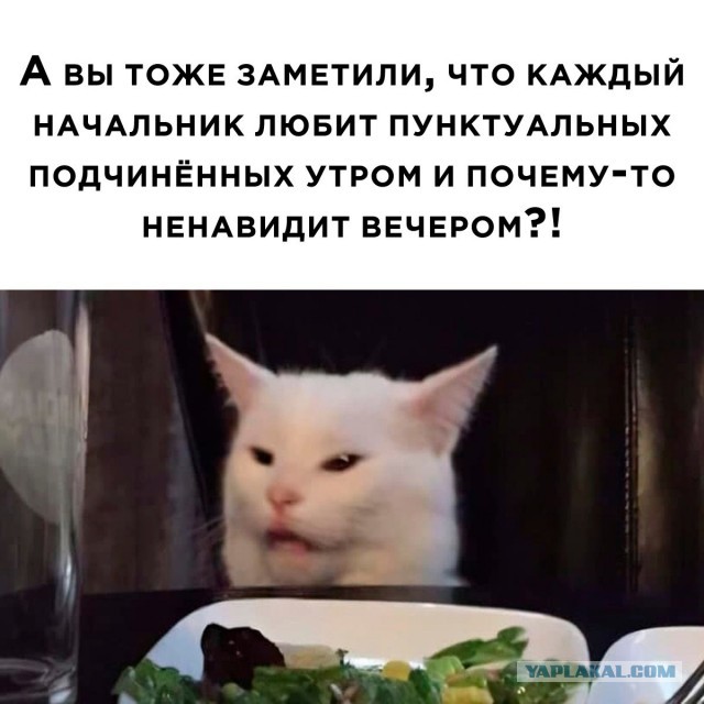 Решил отпроситься у начальника...
