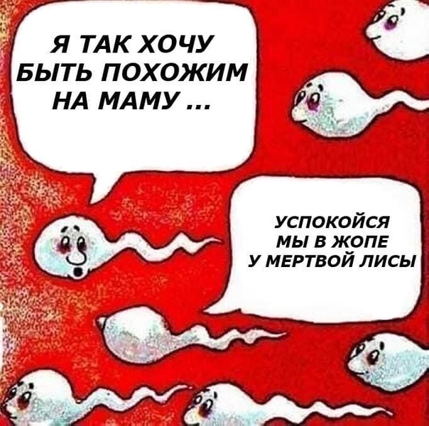 Картинки разные с надписями