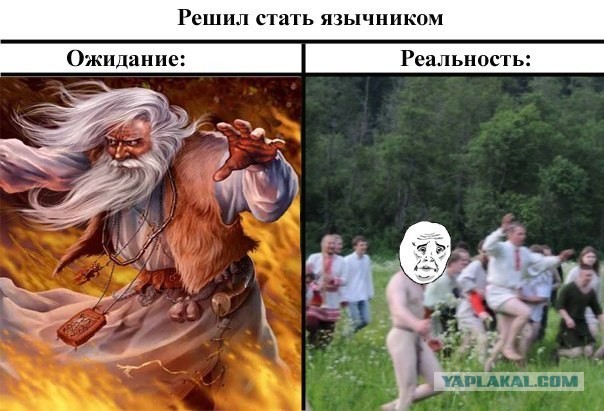 Из серии "ожидание - реальность"