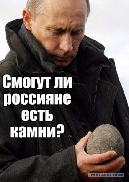Баги в природе