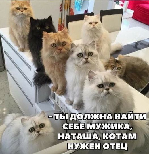 Картинки разные с надписями и без