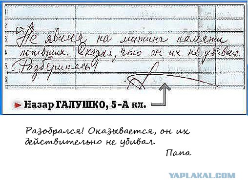 Забавные школьные дневники