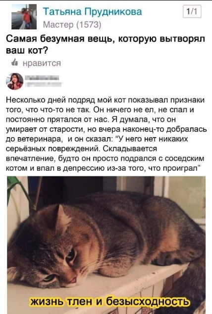 Так себе картинки 31.12.24