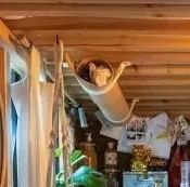 Англичанин живет в центре Лондона в мусорном баке