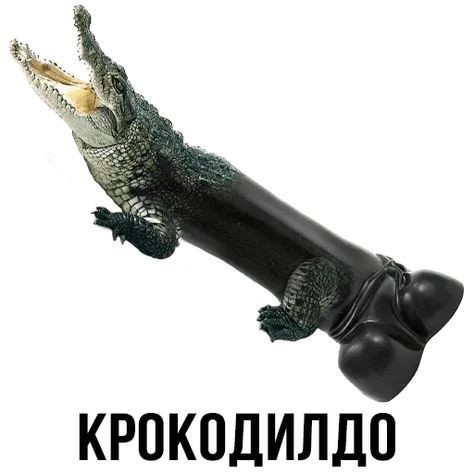 8 картинок животного мира