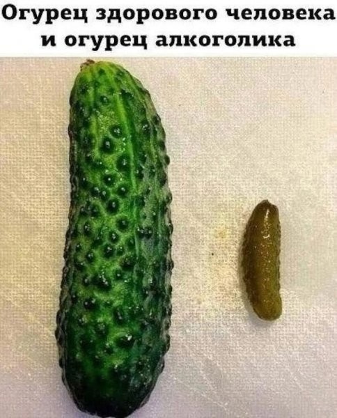 Для настроения в четверг!