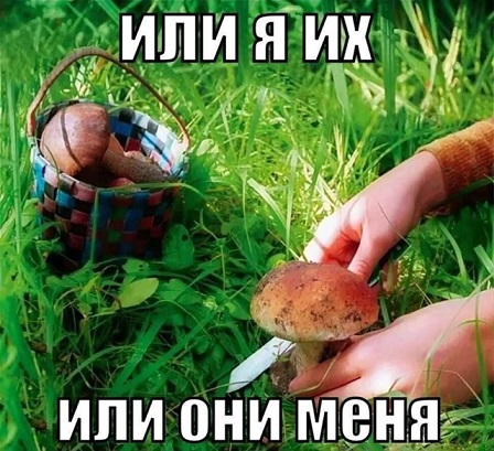 Но ты забыл...