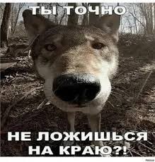 Не крутись во сне