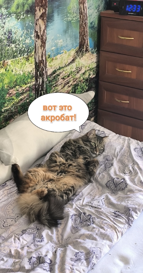 Наш Иннокентий (Кеша)