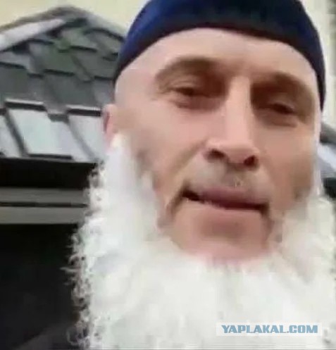 Сова, учись!