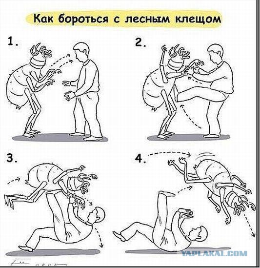 СТРАШНАЯ  ПРАВДА о клещах  в экспериментах