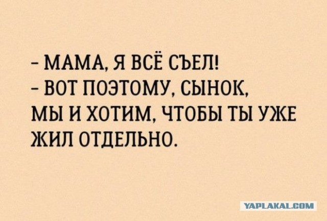 Картиночки, баянчики 31 января