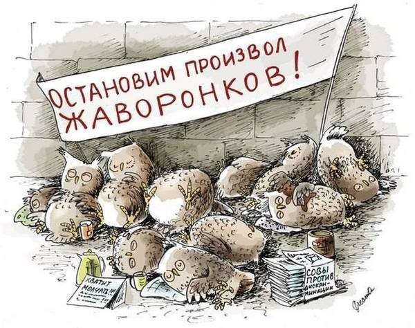 А вы сова или жаворонок?⁠⁠