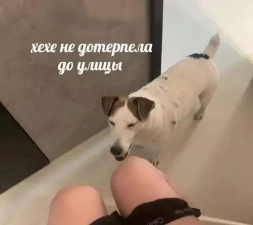 Картиночки, баянчики 10 марта
