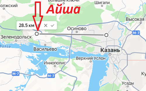 Спустя два месяца нашли пропавшую в Казани Тамару Волкову