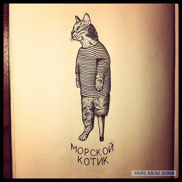 Морская качка