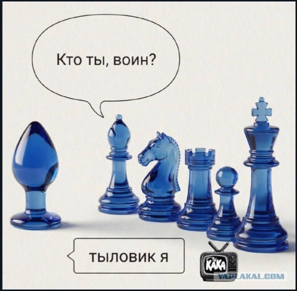 Выпускники белгородской сельской школы отметили окончание учёбы лентами «Выжившие 2026»