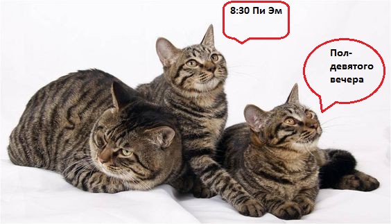 Невероятные приключения китайца...