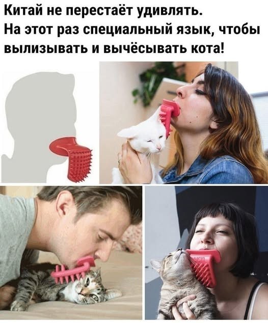 Картинки для деградации 274 (разной степени свежести)
