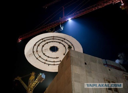 Огромная улитка на уральских дорогах