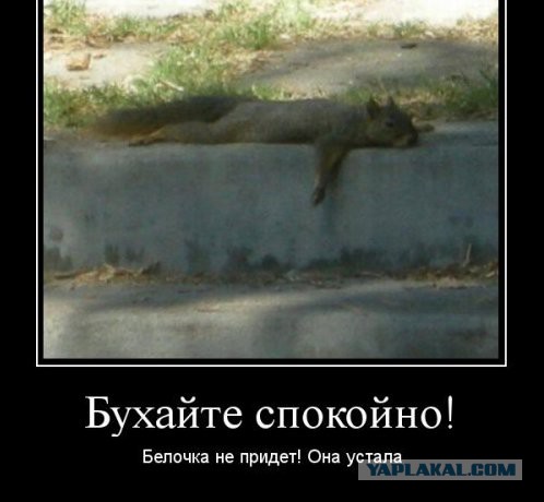 Демотиваторы.