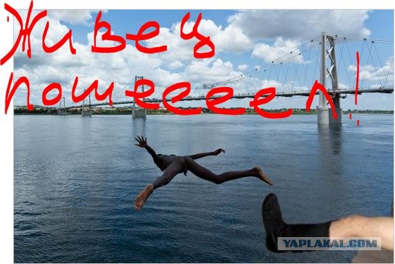 Мозамбикская "ласточка"