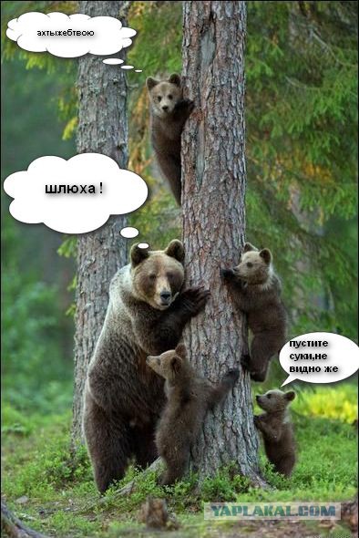 Я люблю одновременно троих мужчин