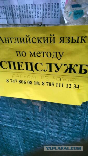 Новые "комментарии из соцсетей"