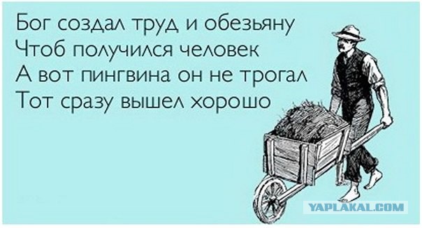 Как природа сэкономила на страусах и крокодилах!