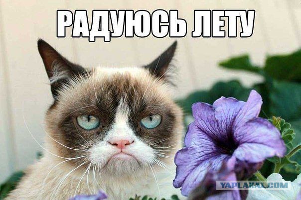 Улыбнуло часть "2"