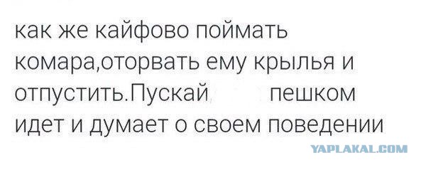 Смешные комментарии из социальных сетей 02.08.14