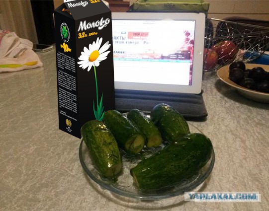 Про малосольные огурцы