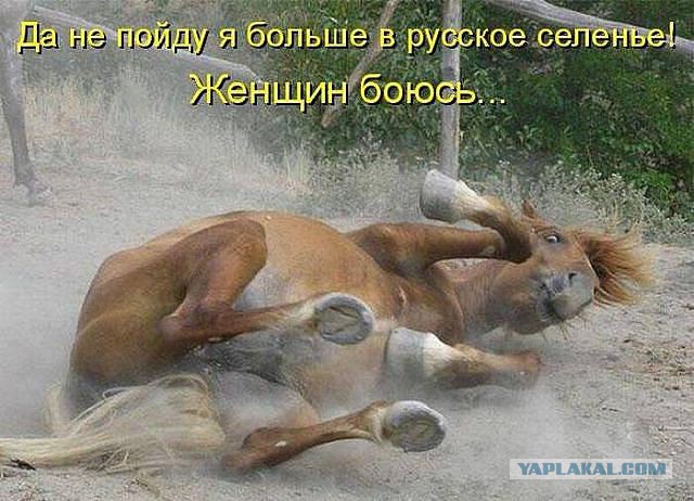Поднимаем настроение